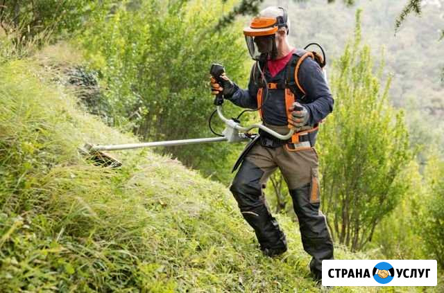 Покос и уборка травы Вологда - изображение 1