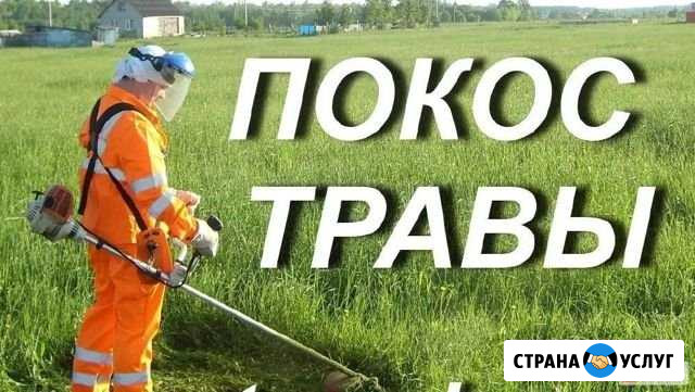 Покос травы Минеральные Воды - изображение 1