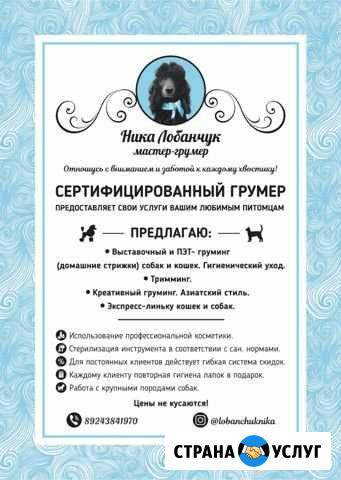 Стрижка собак и кошек Чита - изображение 1