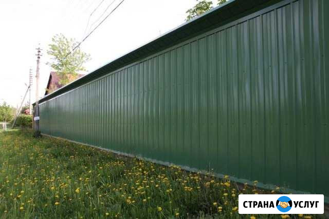 Теплицы. Заборы. Профлист. Евроштакетник Лесной - изображение 1