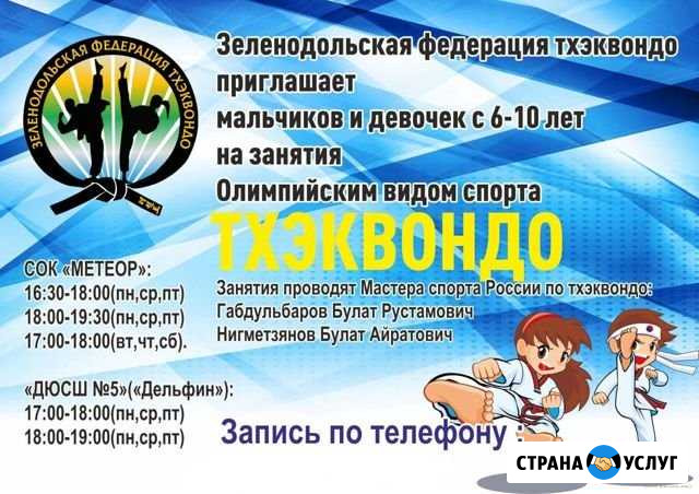 Тхэквондо в Зеленодольске Зеленодольск - изображение 1