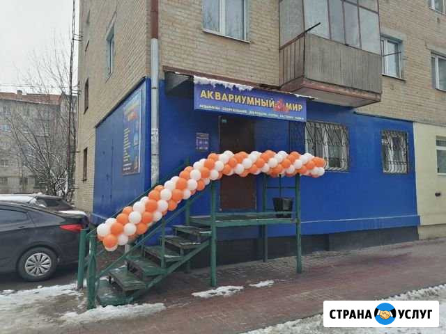 Аквариумный салон Калуга - изображение 1