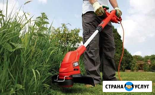Покос травы, спил деревьев и прочие услуги Севастополь - изображение 1
