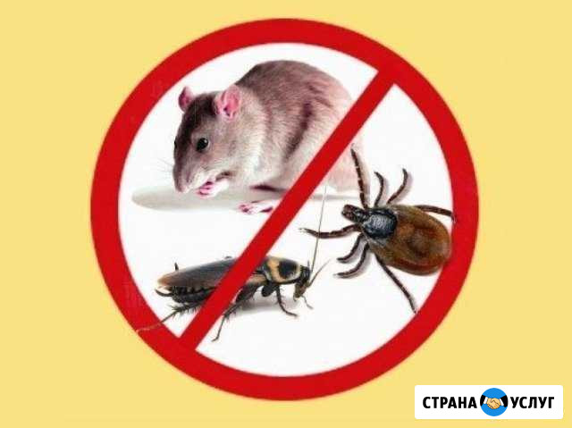 Дезинфекция Рыбинск - изображение 1