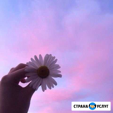 Садовник Вятские Поляны - изображение 1