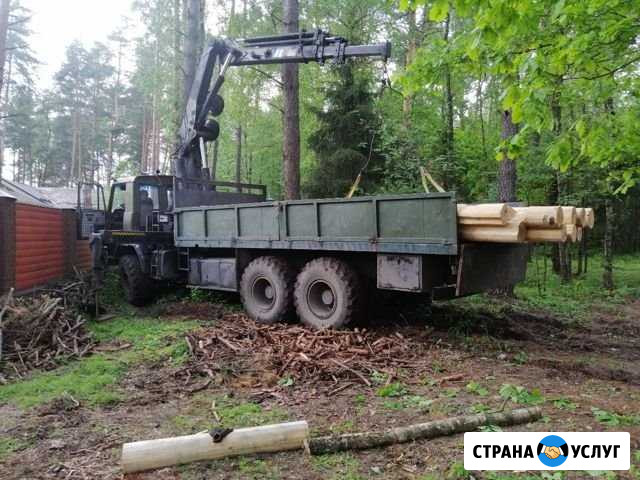 Услуги аренда спецтехники Воскресенск Белоозёрский - изображение 1