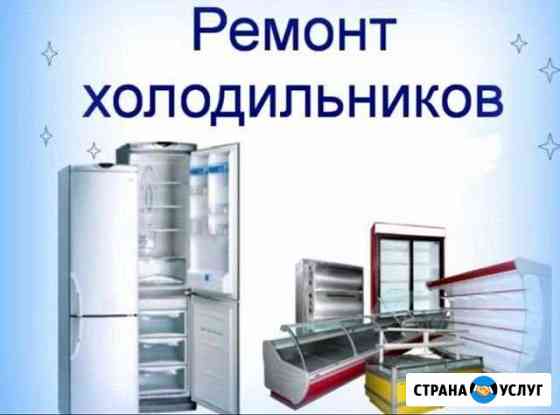 Ремонт холодильников на дому Сиверский