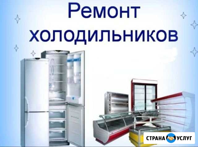Ремонт холодильников на дому Сиверский - изображение 1