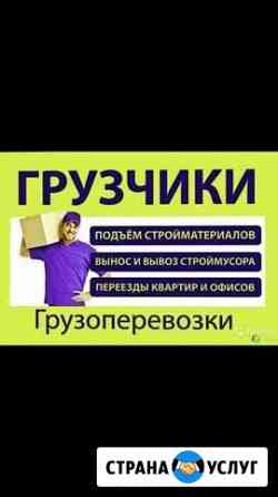 Услуга Грузчиков Троицк
