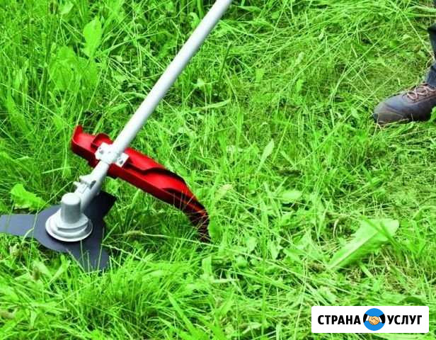 Покос травы Рославль - изображение 1