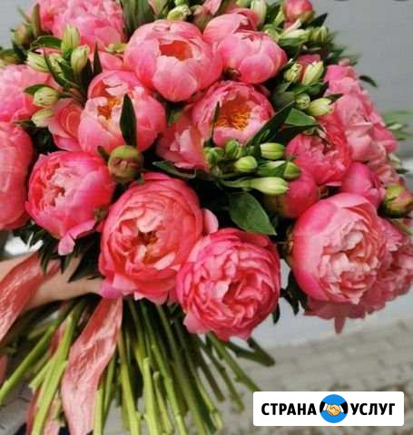 Флористика Веселое - изображение 1