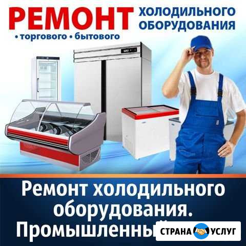 Ремонт холодильного оборудования Советск - изображение 1