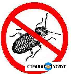 Услуги по борьбе с вредитедями Донское