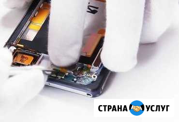 Выездной ремонт телефонов Калининград - изображение 1
