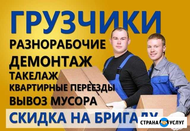 Грузчики Белгород - изображение 1