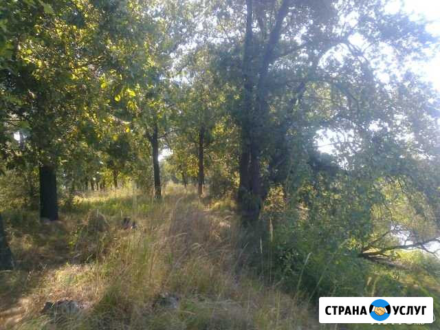 Растительный грунт Волжский Волгоградской области - изображение 1