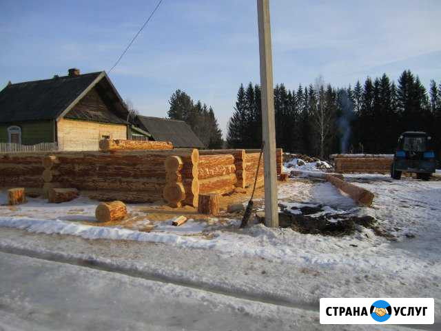 Рубка домов и бань из круглого леса Западная Двина - изображение 1