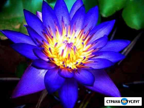 Курсы медитации Симферополь