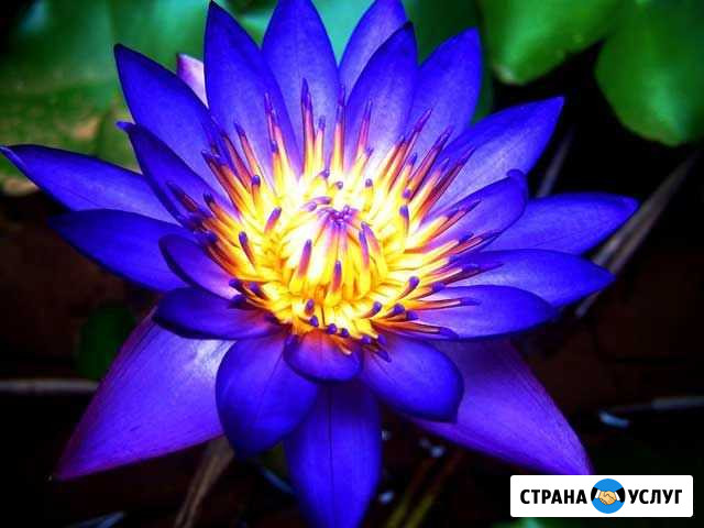 Курсы медитации Симферополь - изображение 1