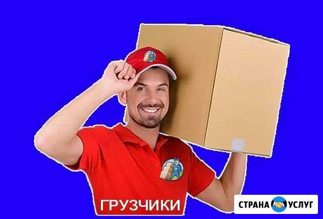 Грузчики и грузоперевозки Ухта - изображение 1