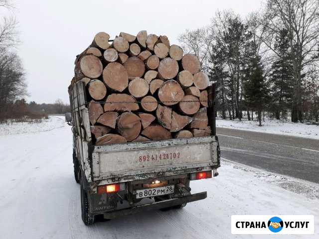 Дрова сухие листвяк за куб Благовещенск - изображение 1