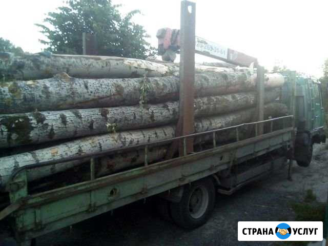 Манипулятор Курск - изображение 1