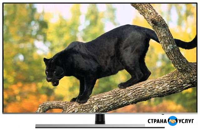 Ремонт телевизоров, ноутбуков, микроволновок Белово - изображение 1