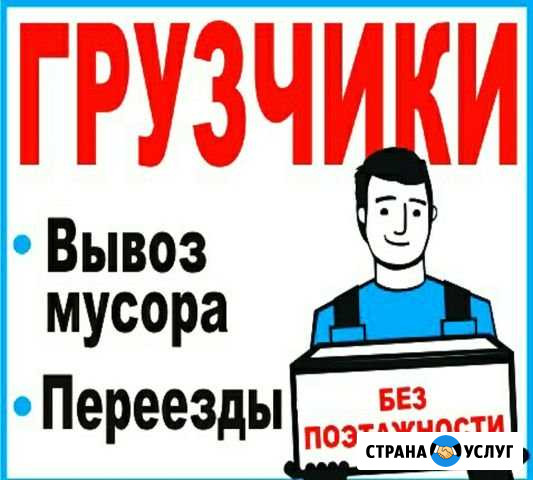 Грузчики с Газелью/Переезды/Вывоз Мусора Дзержинск - изображение 1