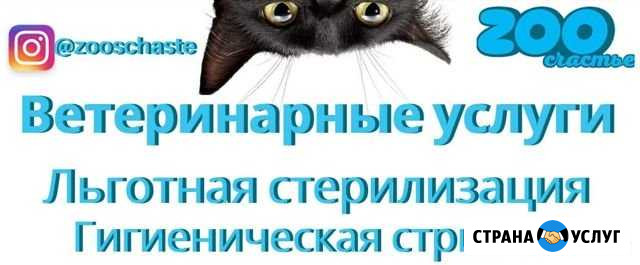 Центр льготной стерилизации Комсомольск-на-Амуре - изображение 1