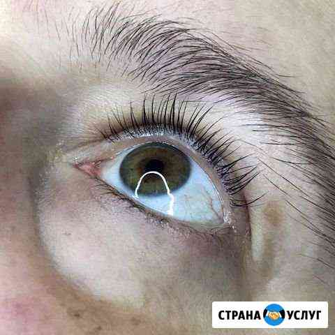 Ламинирование бровей и ресниц Хабаровск