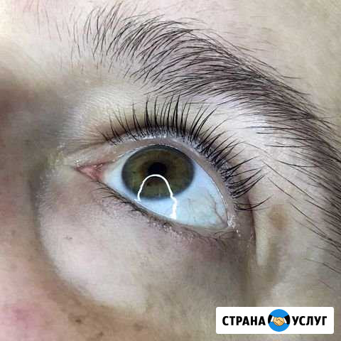 Ламинирование бровей и ресниц Хабаровск - изображение 1