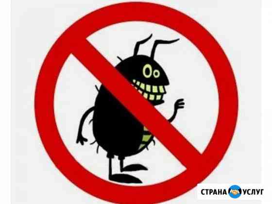 Обработка домов от паразитов Севастополь