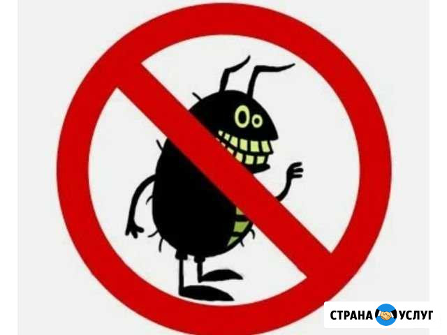 Обработка домов от паразитов Севастополь - изображение 1