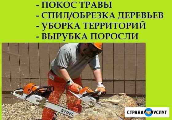 Спил и обрезка деревьев, Покос травы, поросли Таганрог