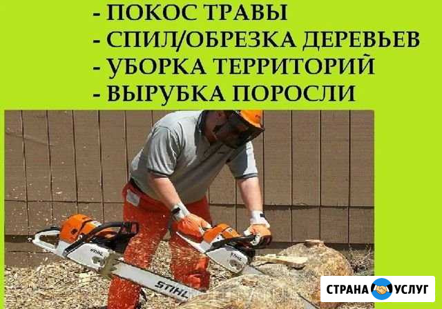 Спил и обрезка деревьев, Покос травы, поросли Таганрог - изображение 1