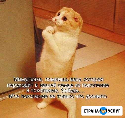 Передержка Туймазы - изображение 1