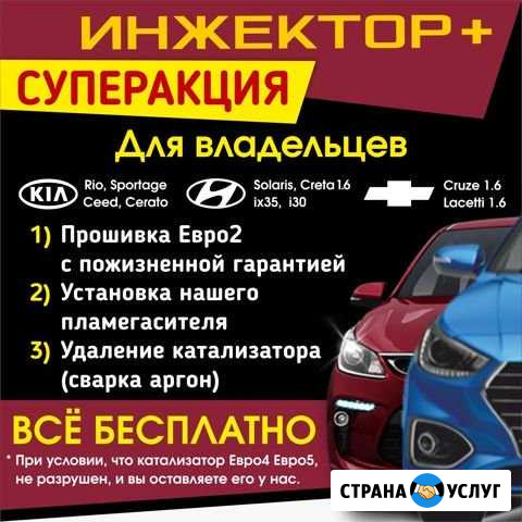 Бесплатно* прошивка евро2 и удаление катализатора Набережные Челны - изображение 1