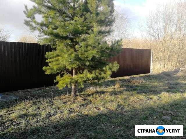 Заборы. Индивидуальные цены Спасск-Рязанский - изображение 1
