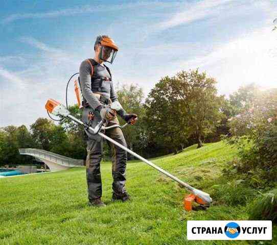 Скосим все Сургут