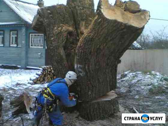 Спил деревьев, обрезка деревьев Сургут