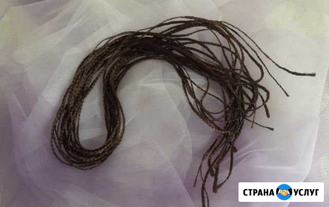 Зи-зи Северск - изображение 1
