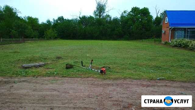 Покос травы Егорлыкская - изображение 1