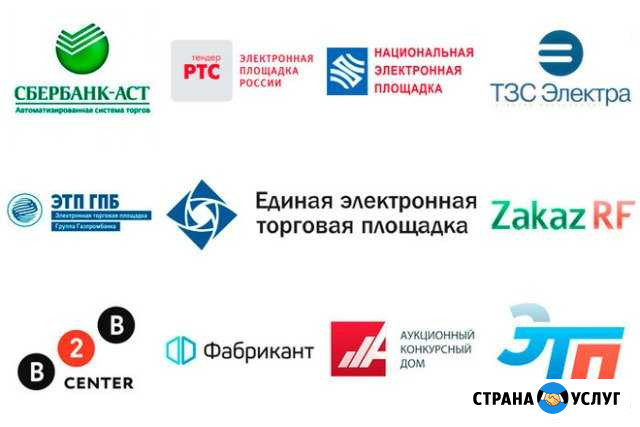 Аккредитация, участие в торгах, подача заявок Саранск - изображение 1