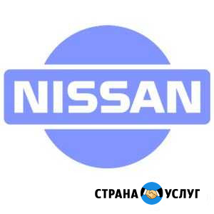 Настройка вариатора (cvt) Nissan Красноуфимск - изображение 1