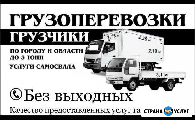 Грузоперевозки по области Переезды Перевозки Грузч Благовещенск - изображение 1