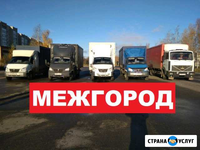 Грузоперевозки межгород газель фура рефрижератор Балашиха - изображение 1