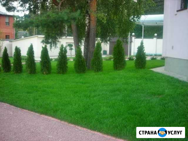 Озеленения и благоустройство Екатеринбург - изображение 1