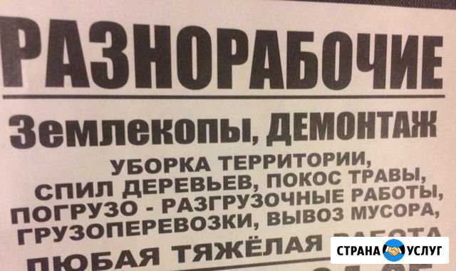 Землекопы,спил деревьев,уборка территории,вывоз му Волгодонск - изображение 1