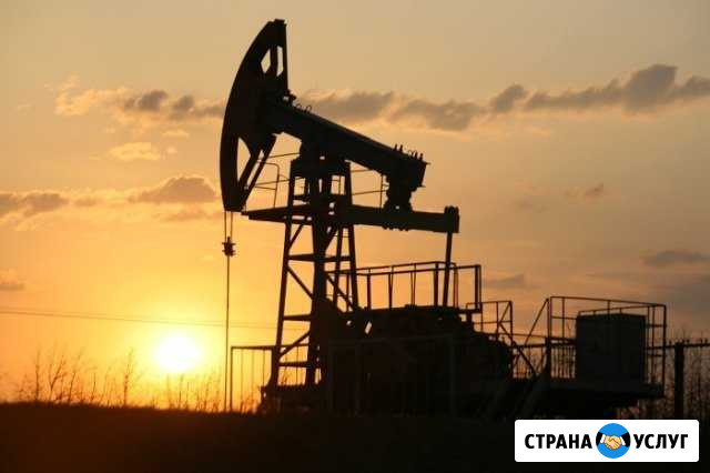 Технический перевод в нефтегазовой отрасли Москва - изображение 1