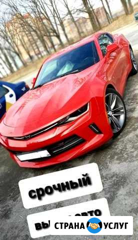 Срочный выкуп автомобилей Старый Оскол - изображение 1